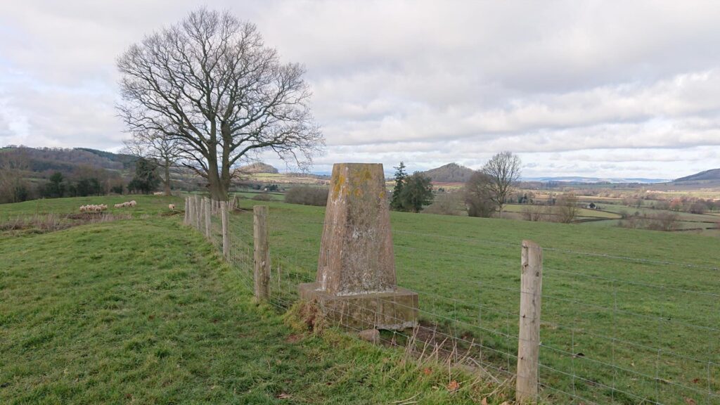 Adzor Bank trig point in the other field!