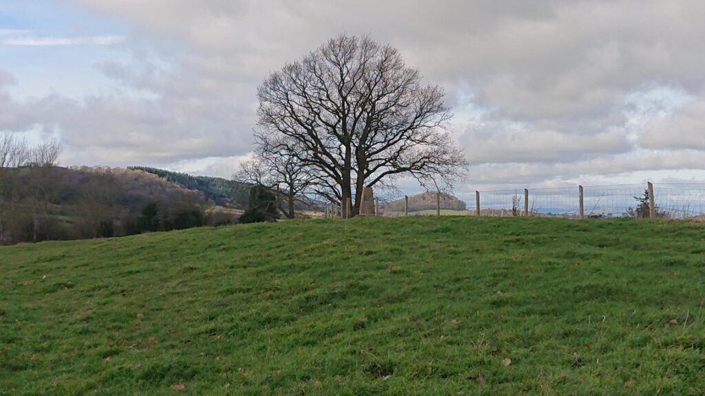 The Adzor Bank trig point on the hill