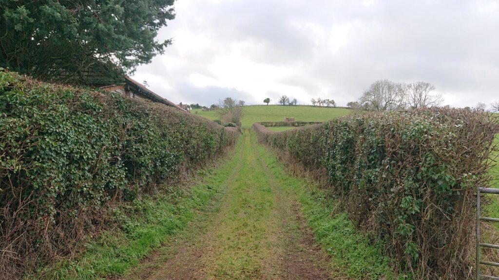 Head up this lane and hop over the gate