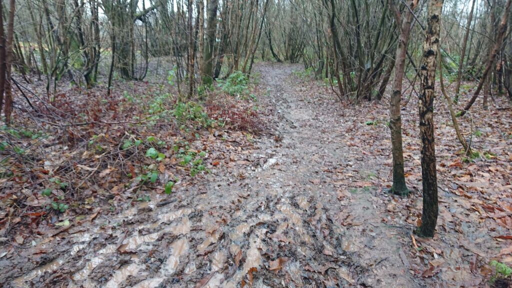 A muddy route to the Aconbury Camp Trig Point