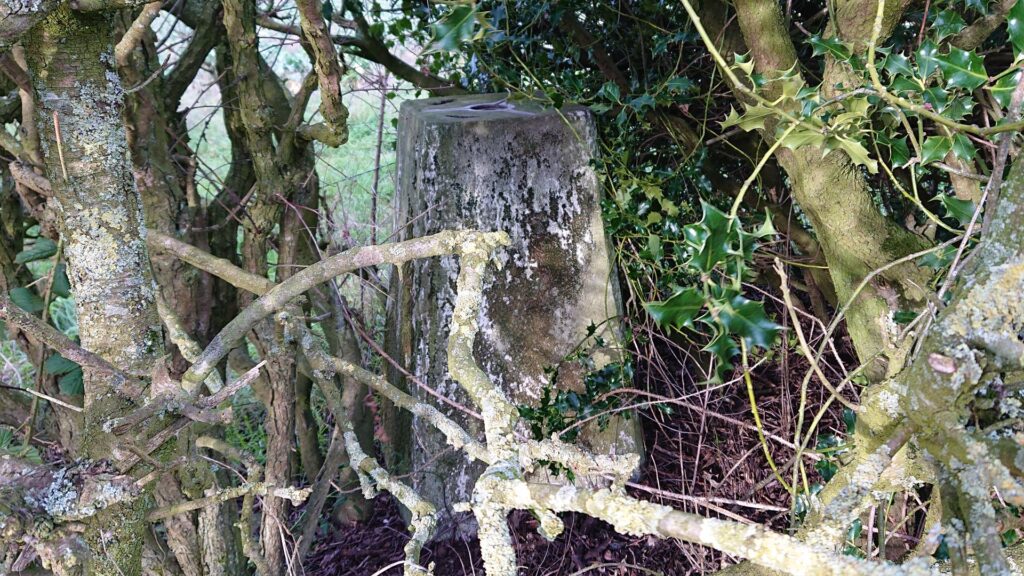 New Croft Trig Point with limited access from this side of the hedge