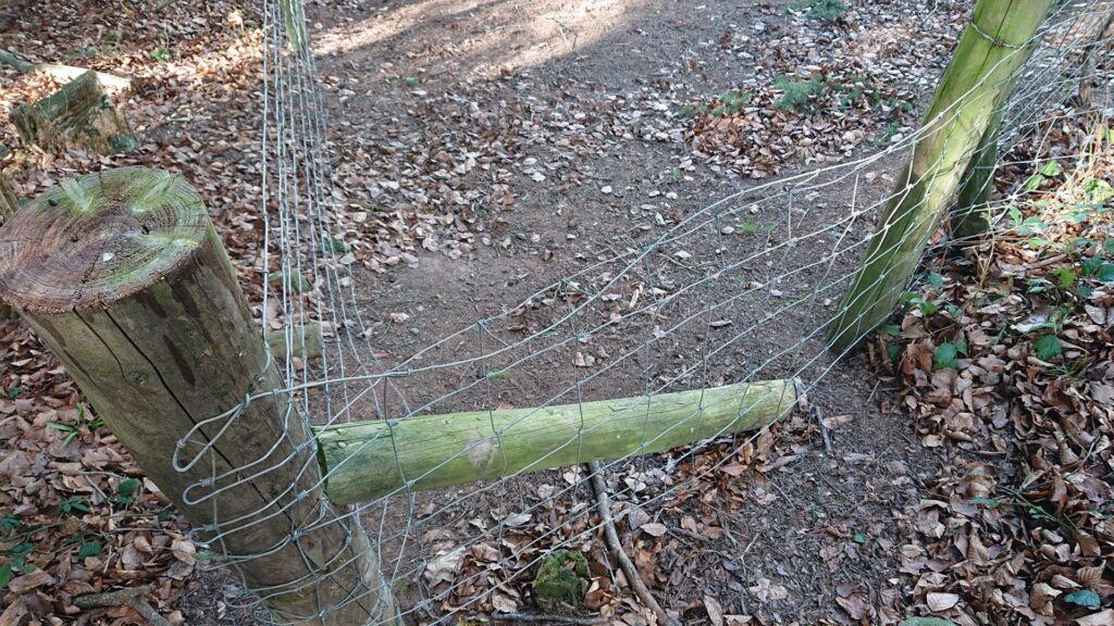 Hop over fence to begin trig bag