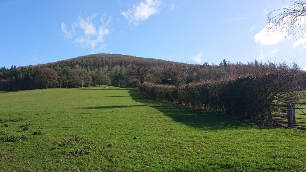 Hill where Burton Hill trig point is located. Green field and blue sky