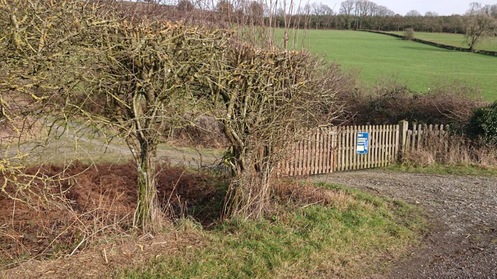 Entrance to the field