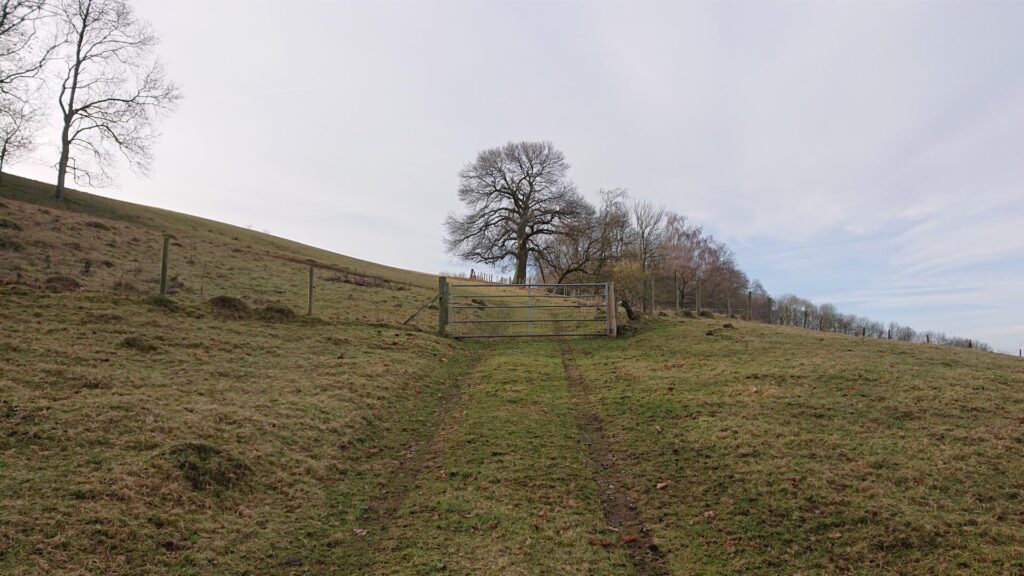 Head through this gate too