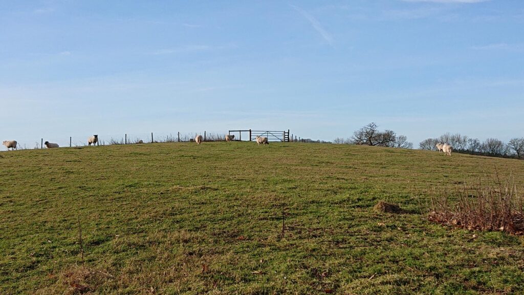 Head through this gate to access the Dinedor Hill Trig Pillar