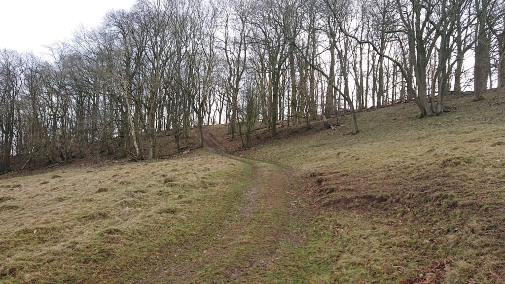 Follow the track through the woods