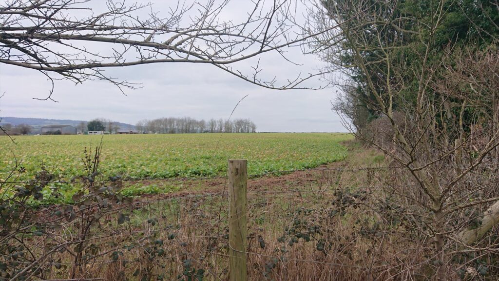 Fenced field