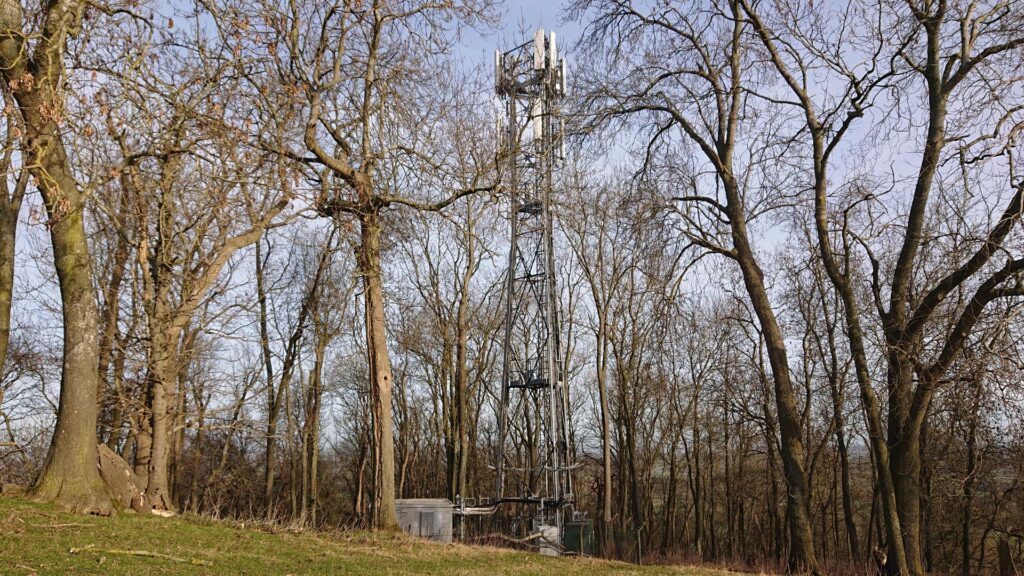 Tower hiding in the woods