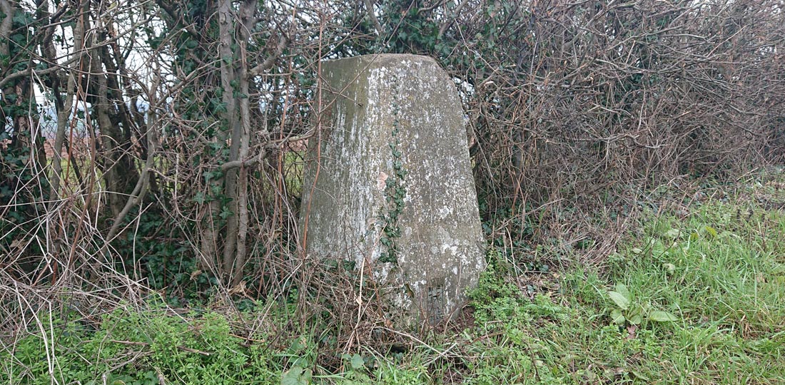 Whitfield trig point