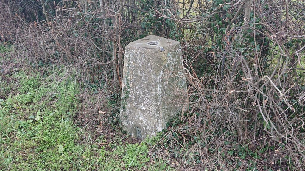 Campfield New trig point hidden in the hedge!