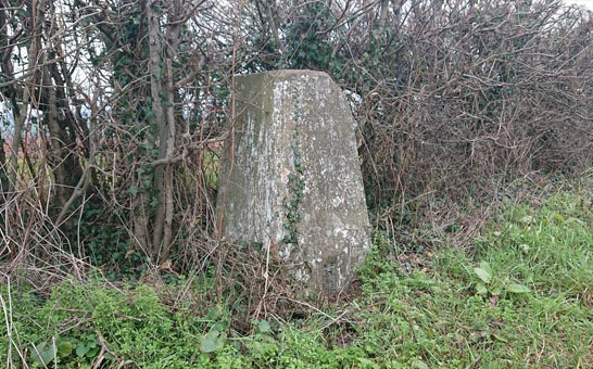 whitfield_trig_point_quick_view