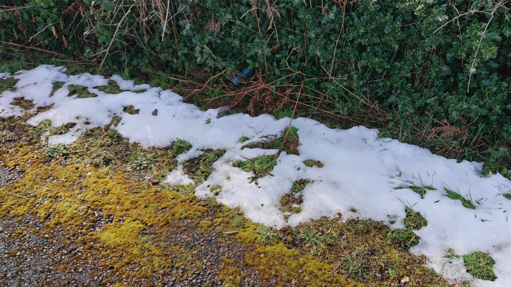 Snow on edge of road