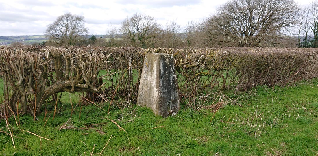 Priory Wood Trig point