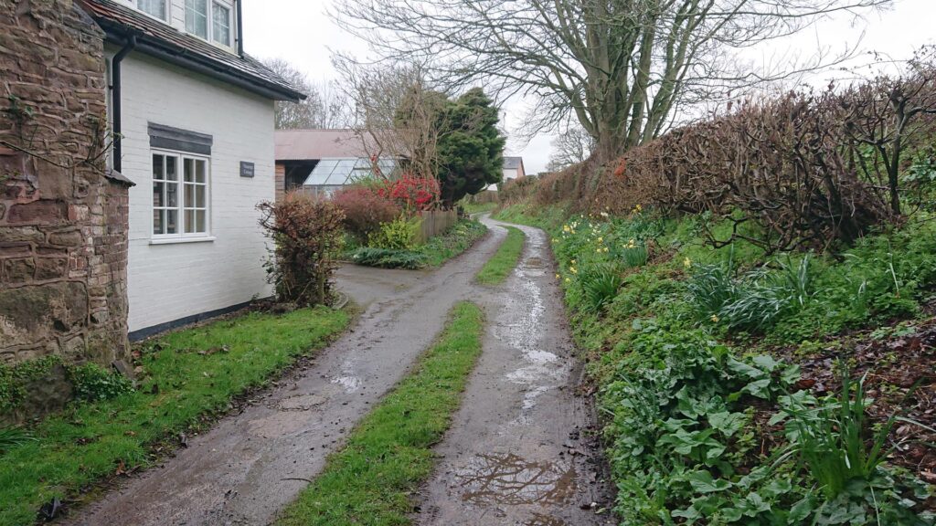 Dirt track past houses