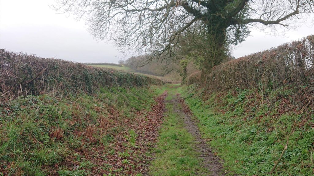 Track past the houses