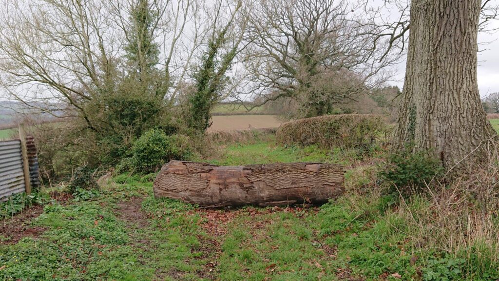 Giant log blocking vehicular access