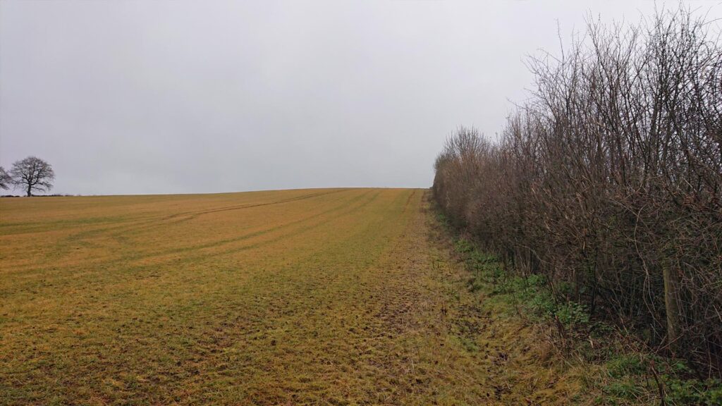 Other field with the Shuttocks Hill trig point in