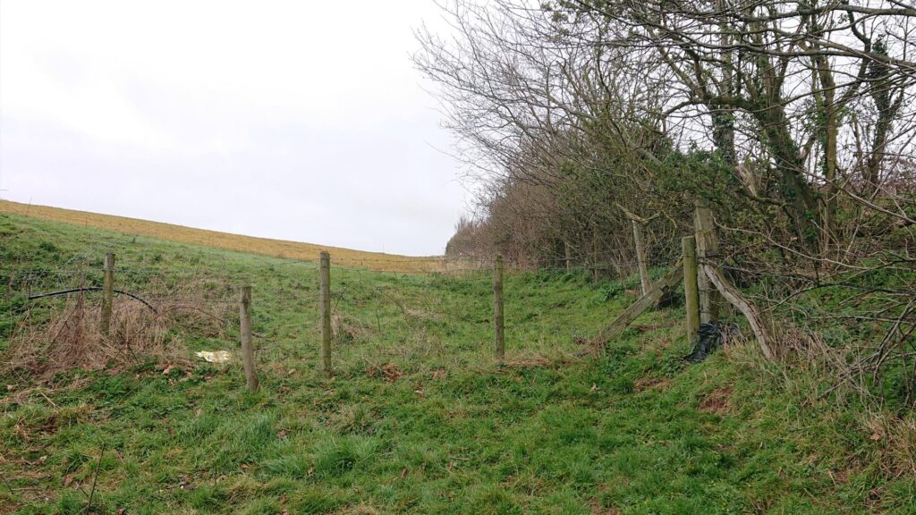 Old dividing fence