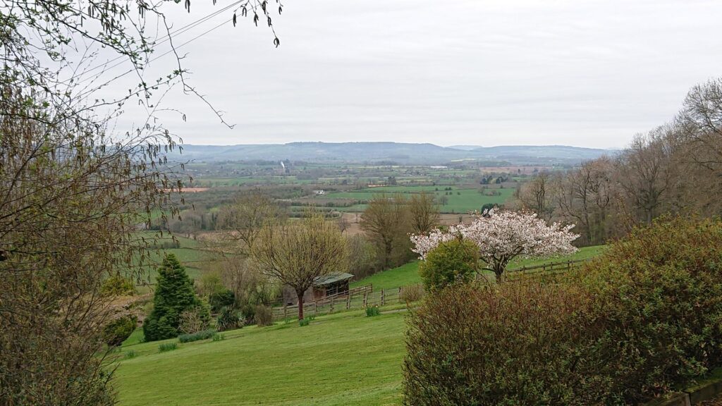 View from halfway up the hill