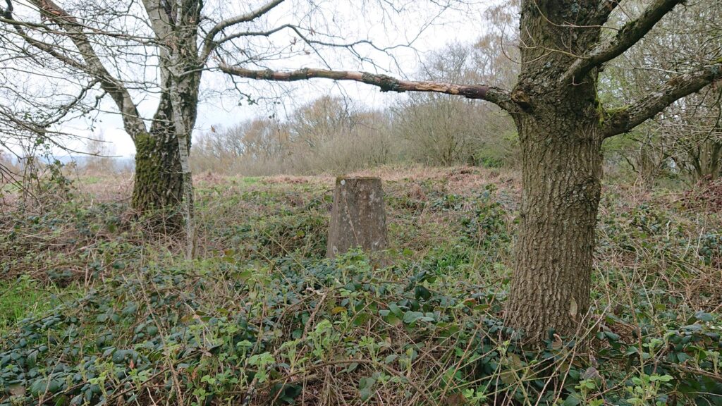 Birley Hill trig point