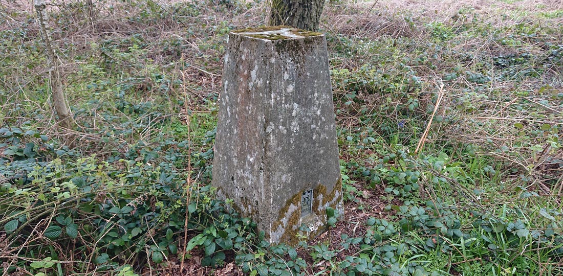 Birley Hill Trig Point