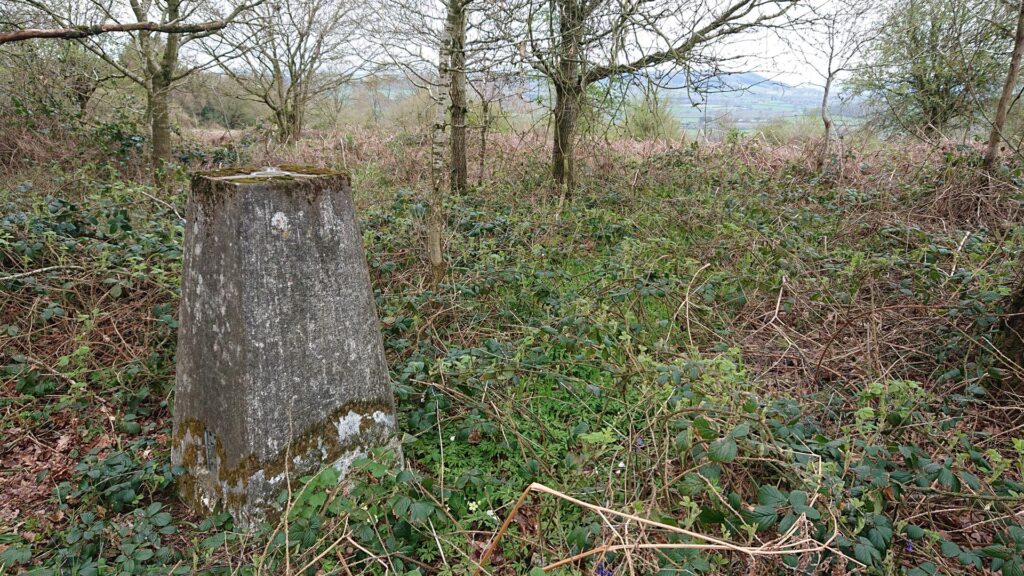 Views from the Birley Hill trig point