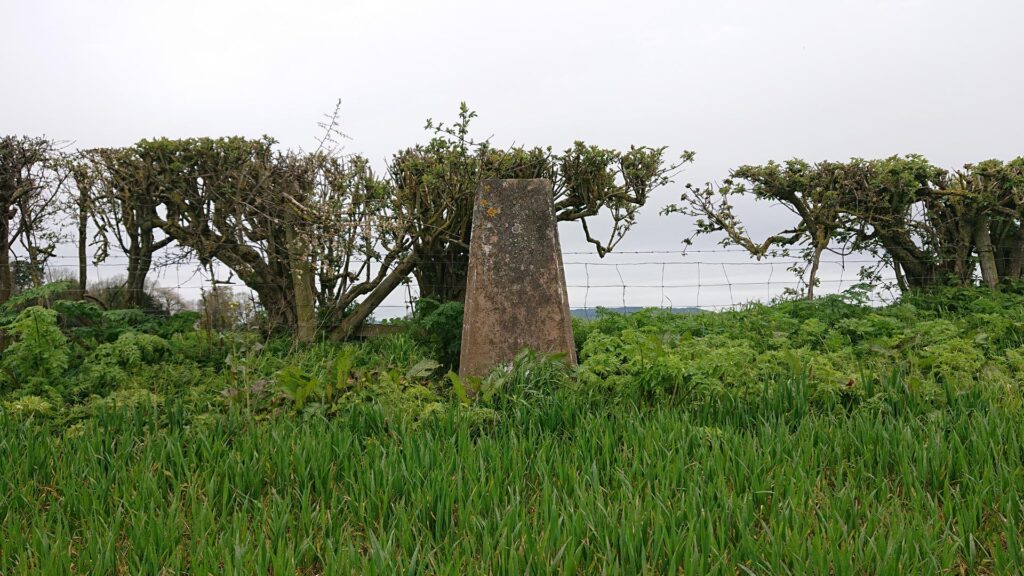 Park Field trig point