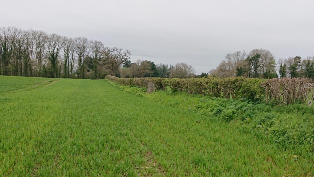 Triangulation pillar in the hedge at the top of a field