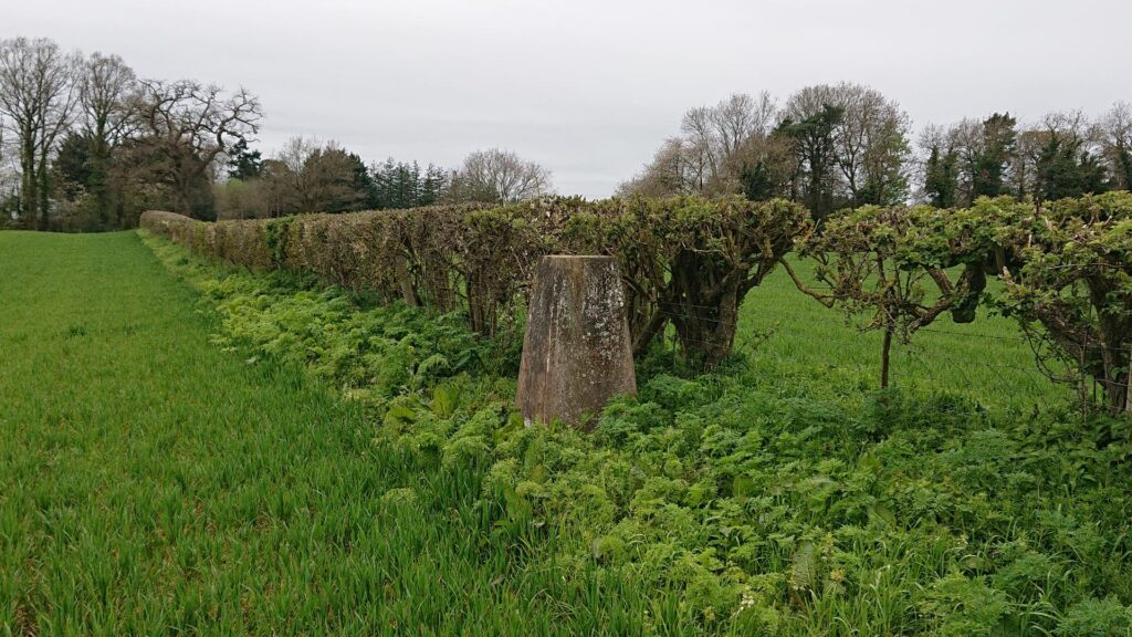 Park Field trig point in the hedgerow