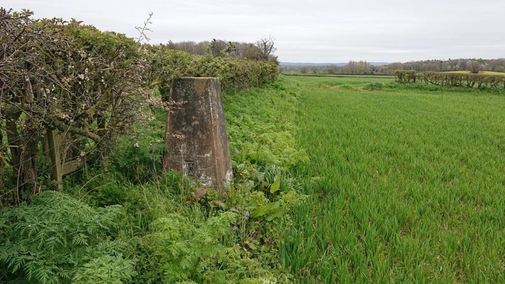 Side of a trig point