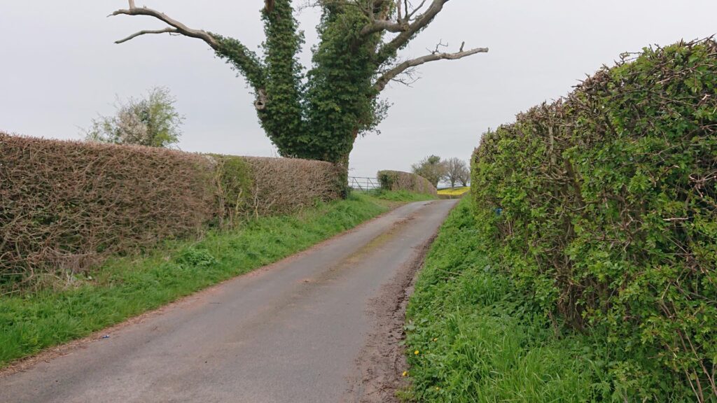 Lane with gate on left with entry into field