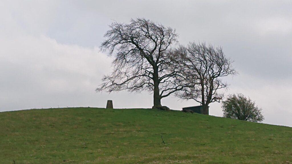 The Beck trig point