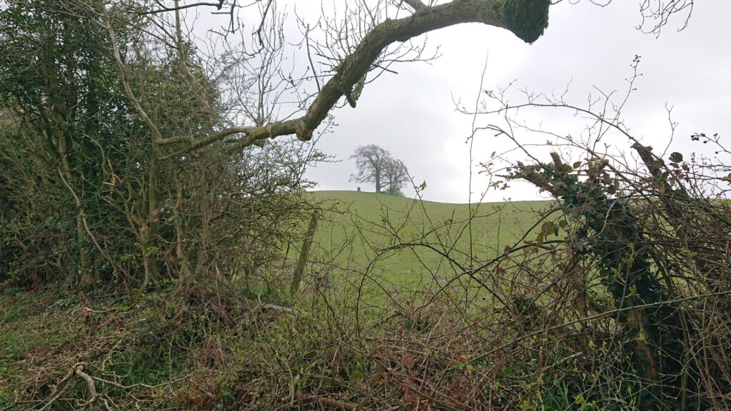 The Beck trig point on the hill in the distance