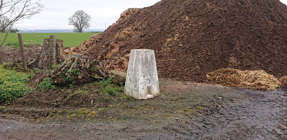 The Riddox Trig Point