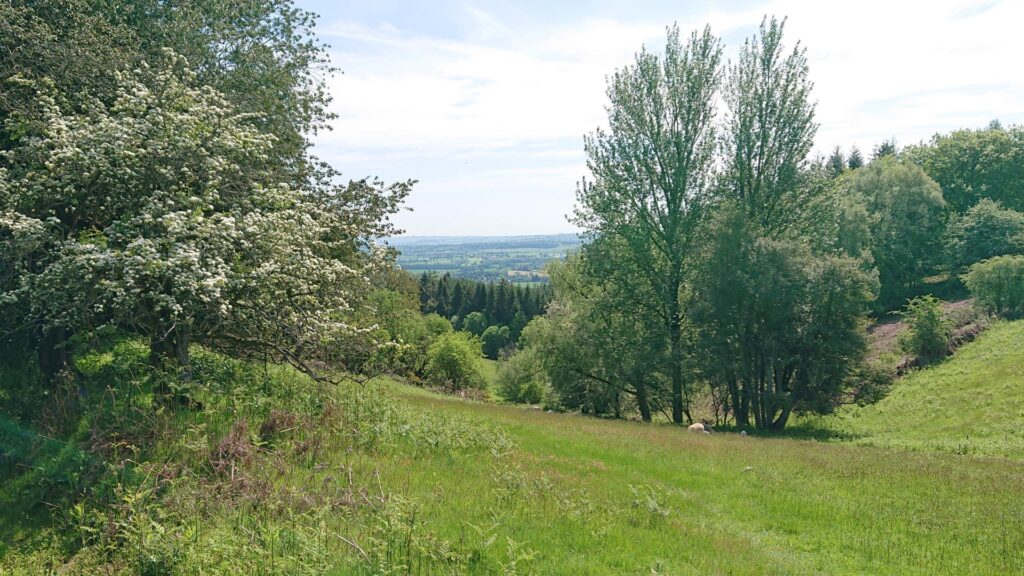 Views from the Dionscourt Hill Trig Point