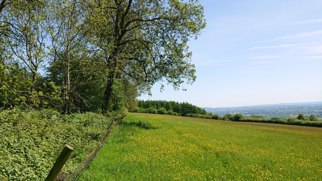 Field with the Dionscourt trig point