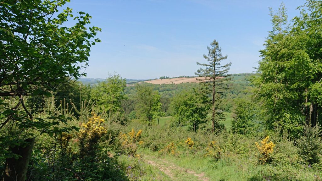 Views from the Dionscourt Hill Trig Point