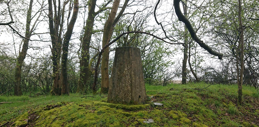 Brampton Scar Trig Point