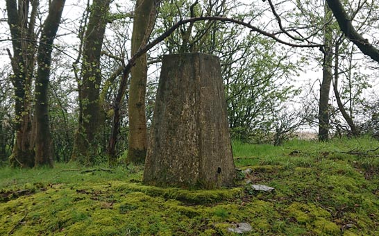 brampton_scar_trig_point_quick_view