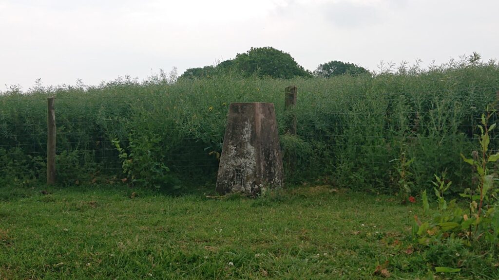 New House Farm Trig Point