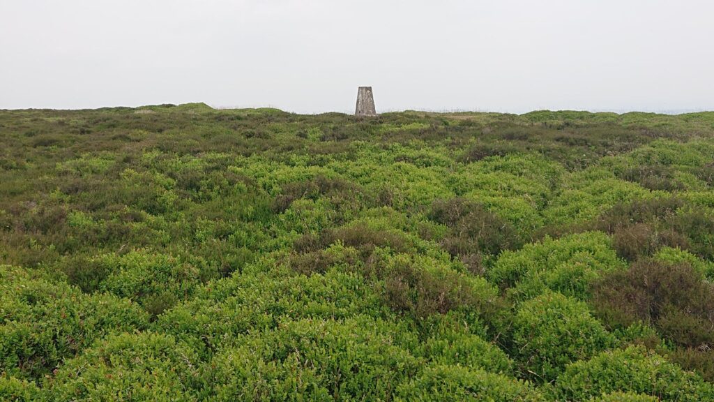 Rhiw Arw Trig Point