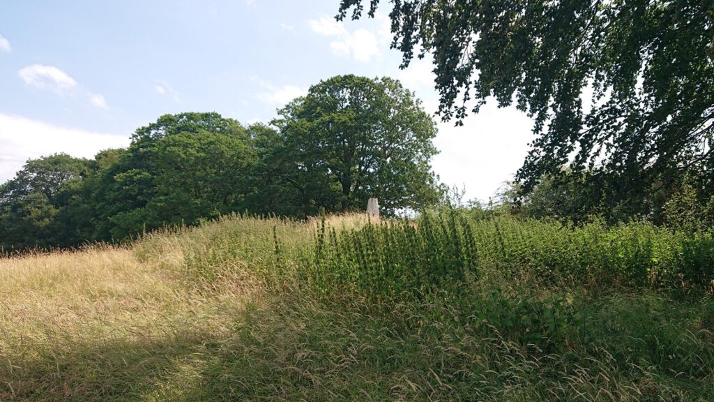 Haffield Bank Trig Point