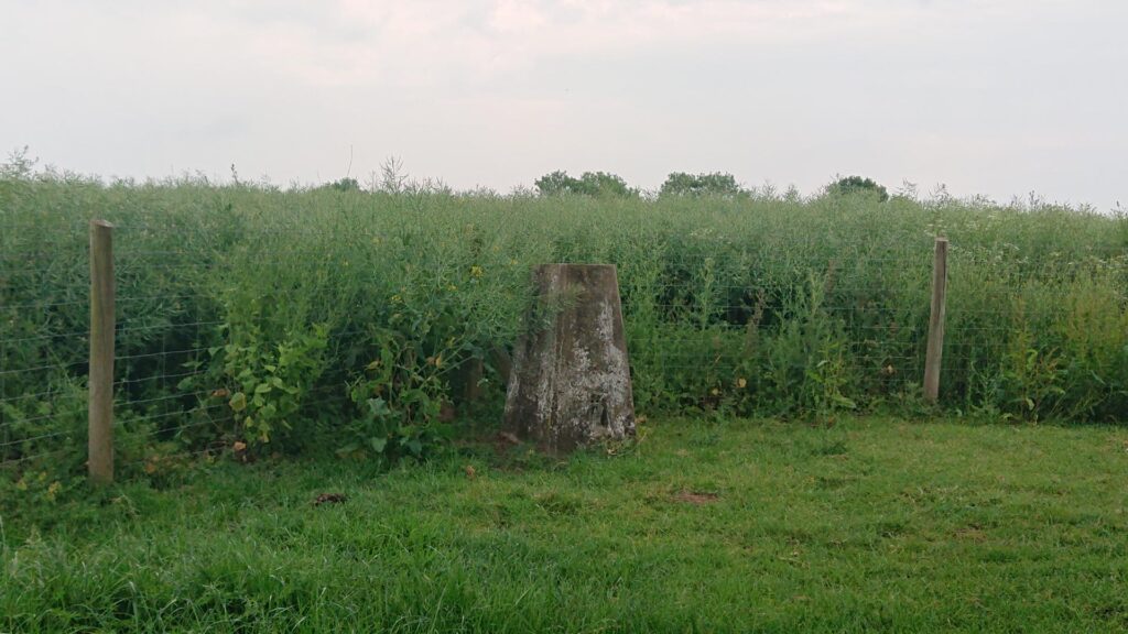 New House Farm Trig Point