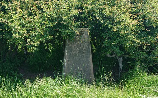 hill_farm_trig_point_quick_view