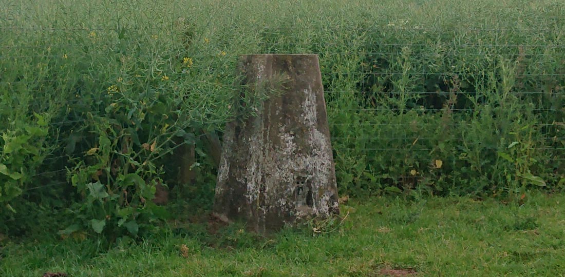 New House Farm trig point