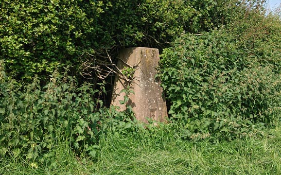 upper_norton_farm_trig_point_quick_view