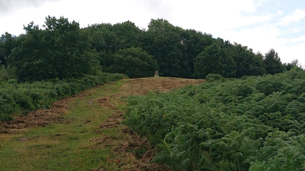 Coppet Hill Trig POint