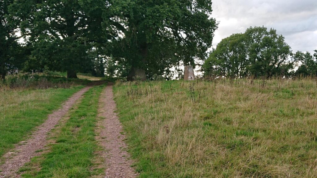 Capler Camp Trig Point