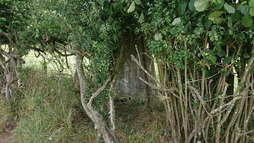 Shobdon Hill Trig Point